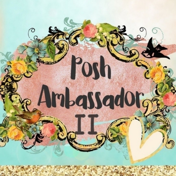 ⭐️⭐️ Posh Ambassador II Shop with Confidence ⭐️⭐️ - Picture 1 of 2